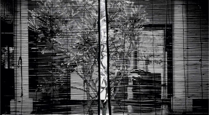 Book: A Place in the Shade by Charles Correa