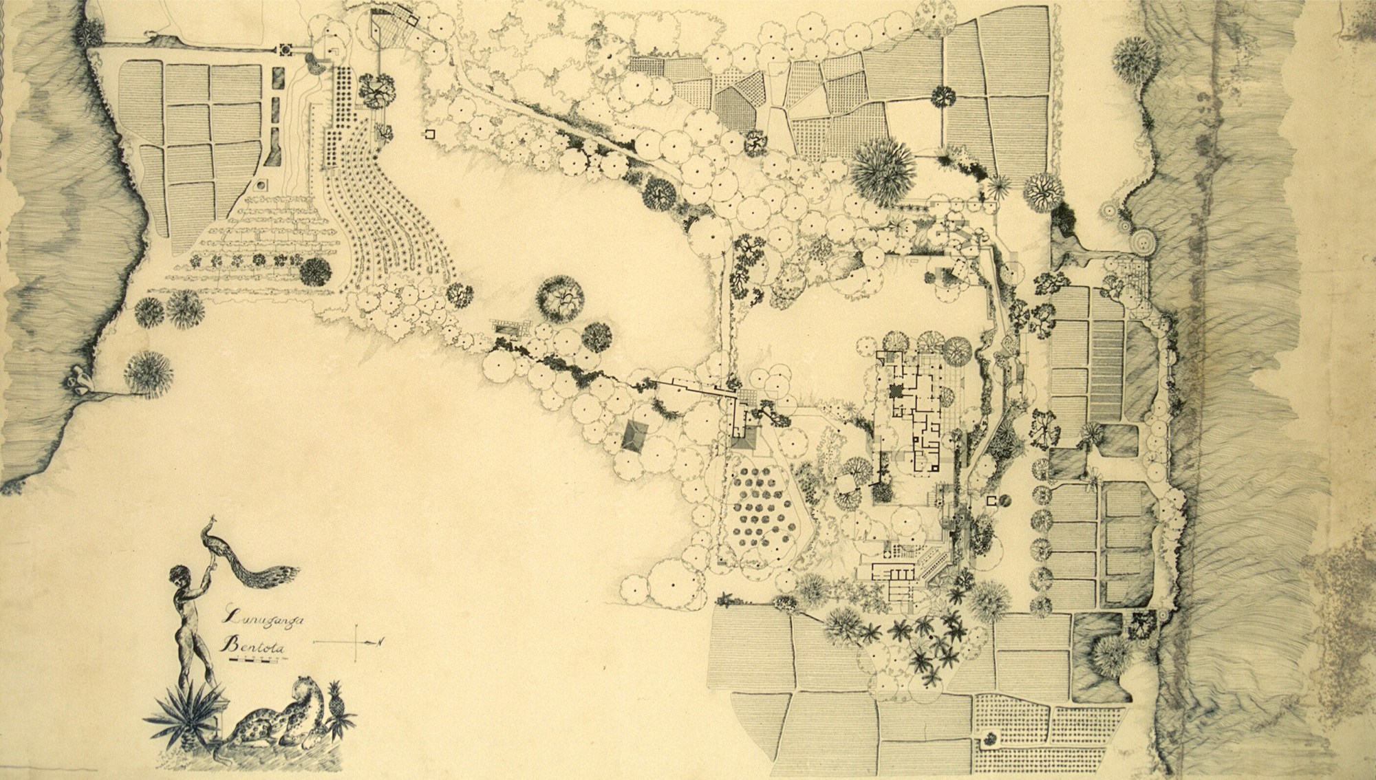 Drawing - Plan of the Lunuganga Estate.
