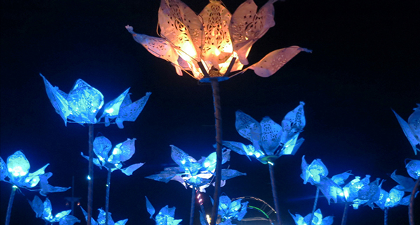 2d04df0dd325116f5594b69905cd3f54