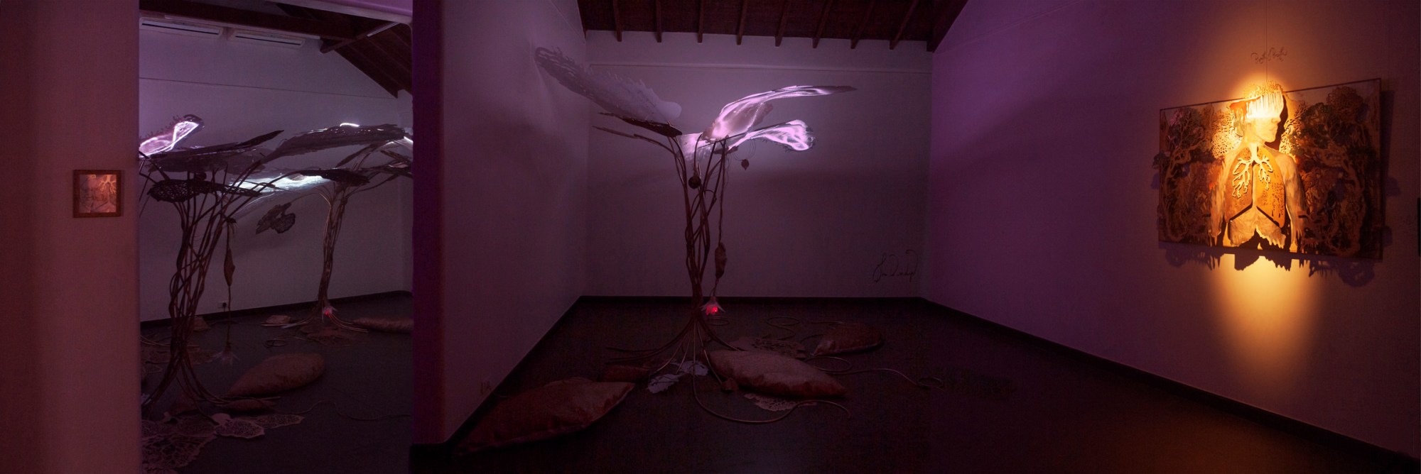 Art Musings - Shilo Shiv Suleman - Brindavan (Installation View)