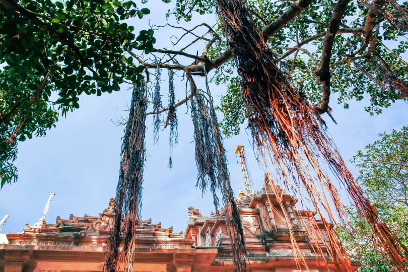 Palitana © Radhika Pandit
